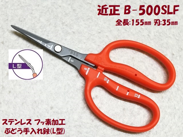 近正 B-500SLF ｽﾃﾝﾌｯ素加工 ぶどう鋏(L型)